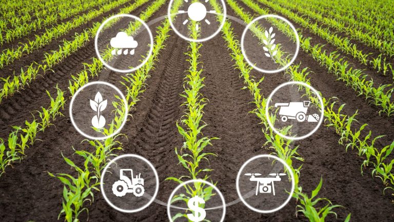 Afruimwagens: Essential Farm Equipment for Efficient Organic Material Distribution